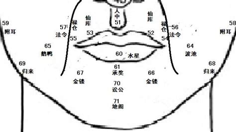 面像 鼻子|麦玲玲面相讲座之 鼻子 – 人相学